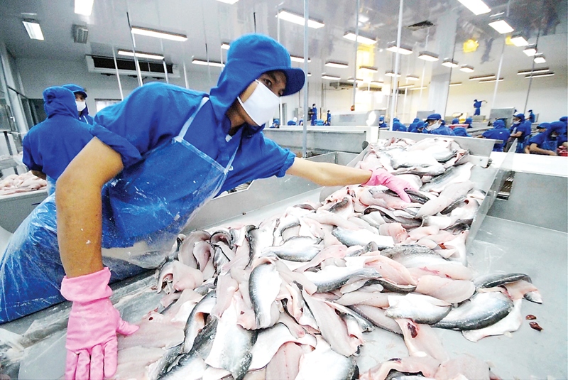 Shrimp and pangasius exports see fluctuations in May